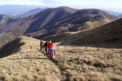 Alpi_Apuane (374), Alpinismo (498), Fucceri F (12), Gr_Croce_Nona (107), Grazia B (42), Mariano M (24), Monte Croce (80)